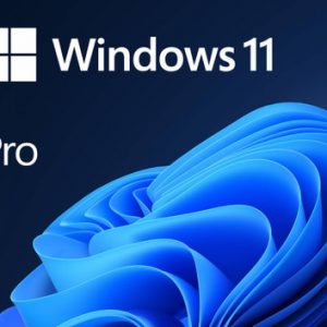 Windows 11 Professional For 1Pc/User – [Latest Edition] - Image 2