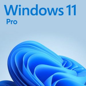 Windows 11 Professional For 1Pc/User – [Latest Edition] - Image 1
